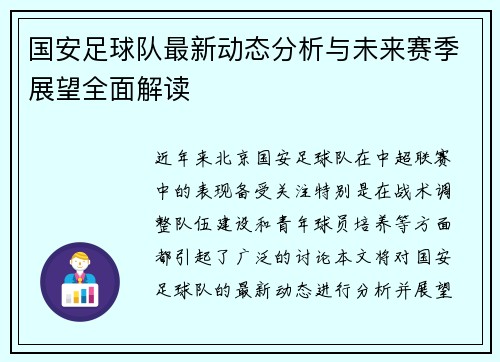 国安足球队最新动态分析与未来赛季展望全面解读